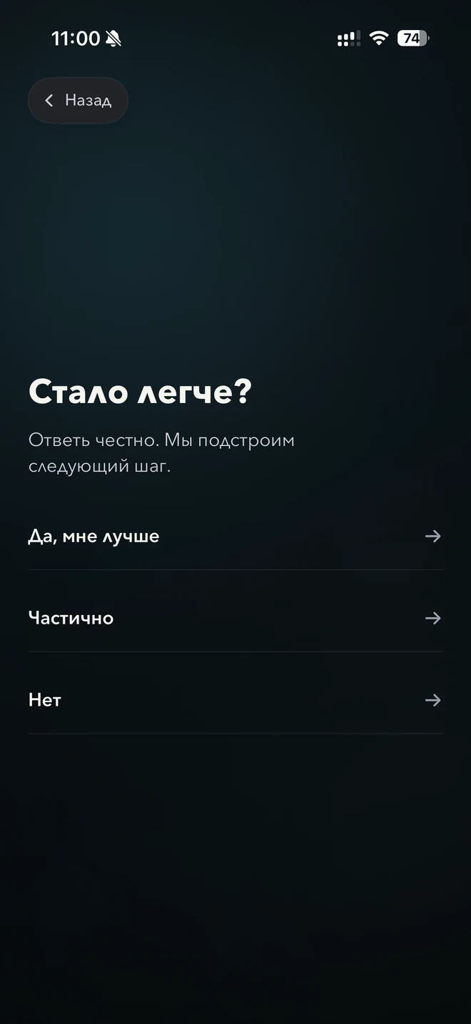 Im fine: оценка результата действия